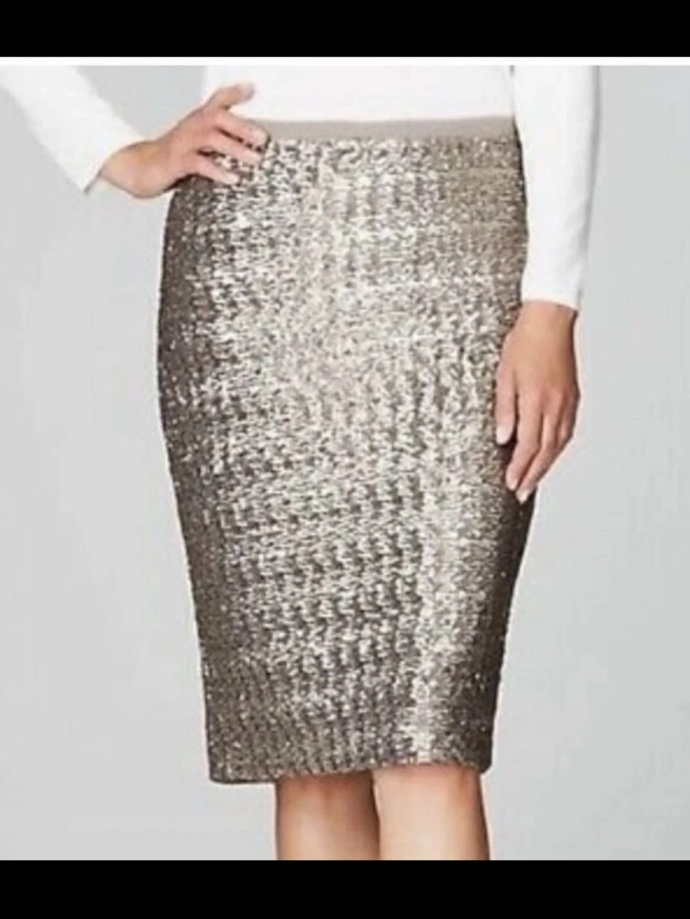 J Jill Sequin Champagne Taupe Bohemian Luxe Stretch Holiday Pencil Skirt M